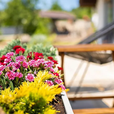 Chalet шпаківня Lokets