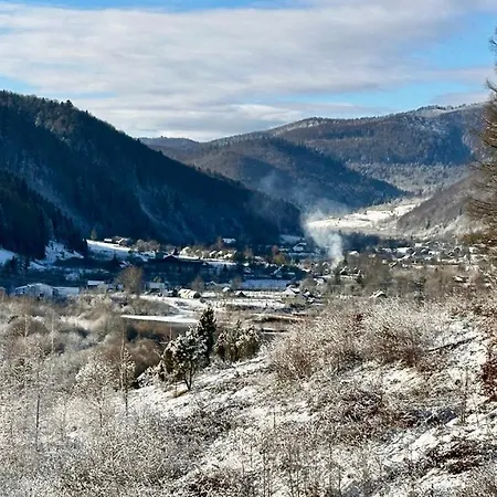 шпаківня *