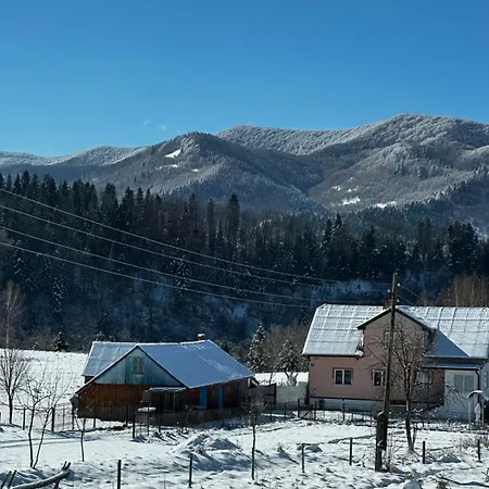 шпаківня * Skhidnytsia