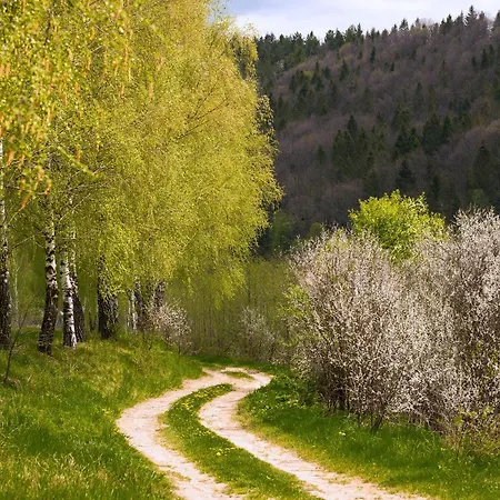 Holiday home шпаківня *
