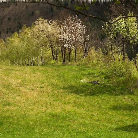 шпаківня Skhidnytsia