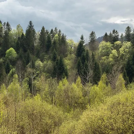 Holiday home шпаківня *