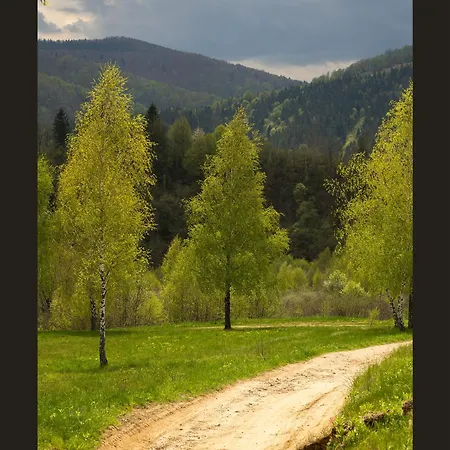 шпаківня *
