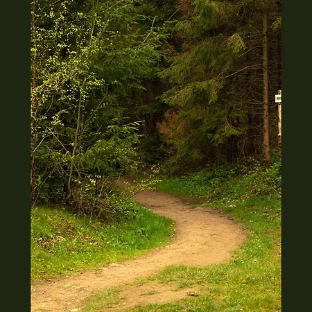 шпаківня * Skhidnytsia