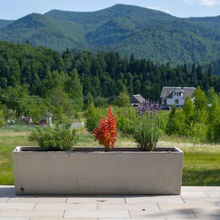 шпаківня * Skhidnytsia