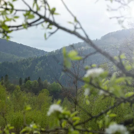 шпаківня Chalet