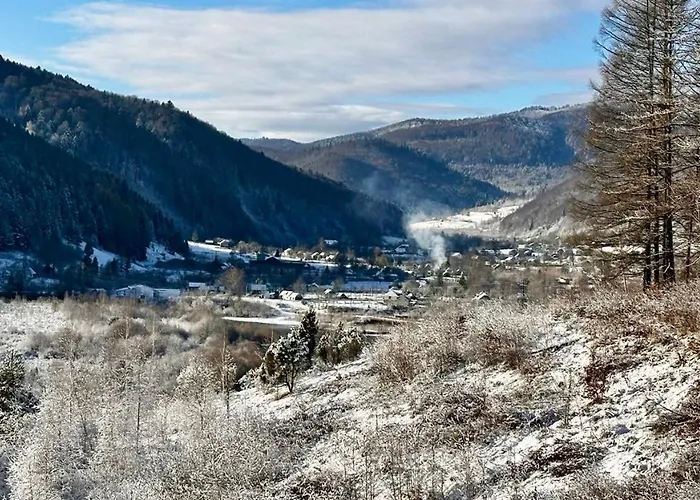 шпаківня *