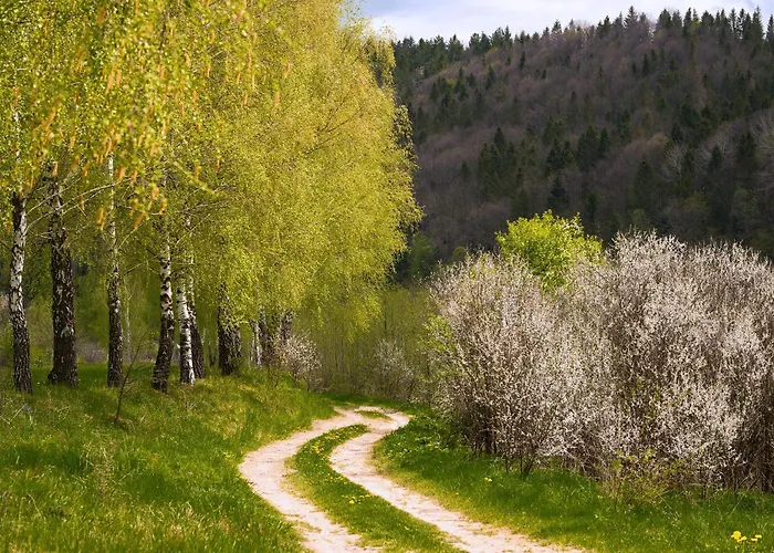 Alpesi faház шпаківня *