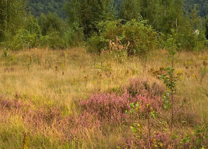 шпаківня Alpesi faház