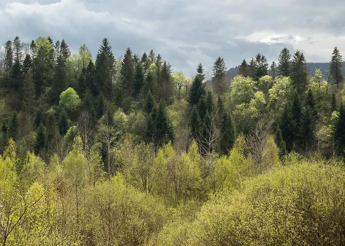 Alpesi faház шпаківня *